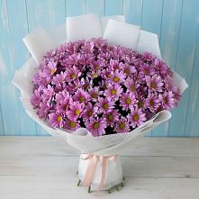 Букет цветов из:  Хризантемы в Краснознаменске Московской области