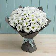 Букет цветов из:  Хризантемы в Краснознаменске Московской области